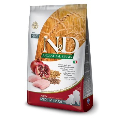 Natural And Delicious Ancestral Dry Chicken  Puppy Medium Maxi 2.5kg